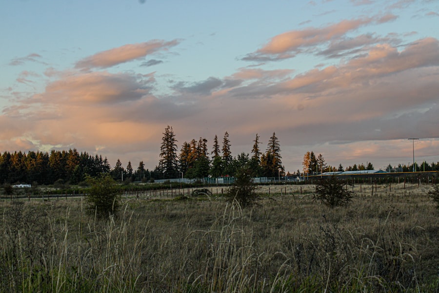 trailer park homes for sale