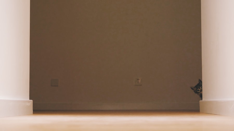 Photo manufactured home loans